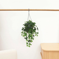 Kunst Ivy hanging   48cm
