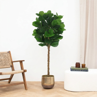 Kunst Ficus lyrata tree   160cm