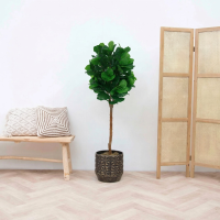 Kunst Ficus lyrata tree   180cm