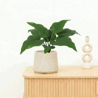 Kunst Philodendron Imperial Green   25cm
