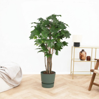 Kunst Oak tree   170cm