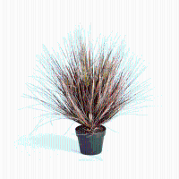 Kunstgras Onion Herfst   50 cm
