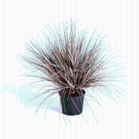 Kunstgras Onion Herfst   65 cm