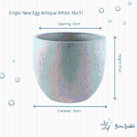 Pot Grigio new egg antique white