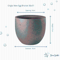Pot grigio new egg Bronze