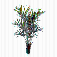 Kentia kunst palm   172 cm