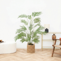 Kunst Areca   120cm