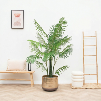 Kunst Areca   190cm