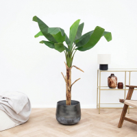 Kunst Bananenplant Musa   150cm