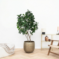 Kunst Ficus Lyrata boom   180cm