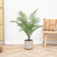 Kunst Kentia palm   65cm