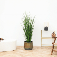 Kunst Onion Grass   130cm
