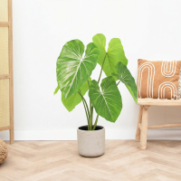 Kunst Philodendron   100cm