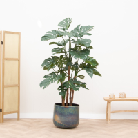 Kunstplant Monstera   210cm