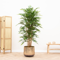 Kunstplant bamboe   180cm