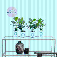 Ogreen Booster