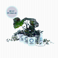Ogreen Musthaves