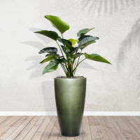 Combideal   Philodendron Green Beauty inclusief zelfwaterende pot Mace Matt Forest Green S   160cm