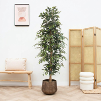 Kunst Ficus Benjamina   205cm