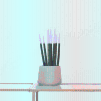 Sansevieria Cylindrica Velvet Touchz wit   25cm