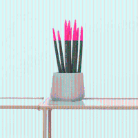Sansevieria Cylindrica Velvet Touchz roze   25cm