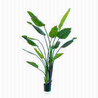 Kunstplant Strelitzia Nicolai   180 cm
