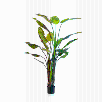Strelitzia Nicolai Kunstplant   235 cm