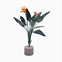 Kunst Strelitzia Reginae   100 cm