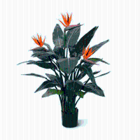 Strelitzia Reginae Kunstplant   115 cm
