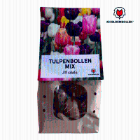 Tulpenbollen kleurrijke mix   20 stuks