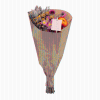 Droogbloemen Field Bouquet   35cm