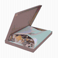 Droogbloemen in Letterbox   35cm
