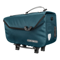 Bagagedragertas E Trunk Petrol 10L