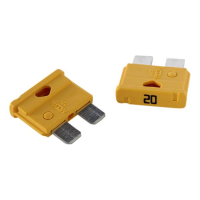 20A zekering (2 stuks)