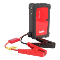 Drive Pro 12
