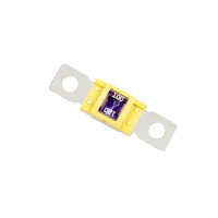 Zekering 100A MEGA (12V 24V)