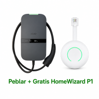 Business 22Kw 5 meter vaste laadkabel + Gratis HomeWizard P1