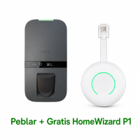 Business 22Kw Socket + Gratis HomeWizard P1