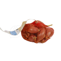 Franse plantsjalot Longor   gele sjalot   netje 250 gr