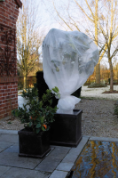 Nature vorstbeschermhoes   wit   2 x 5 m