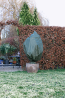 Nature vorstbeschermhoes met koord   donkergroen   150xdiameter 100 cm