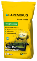 Barenbrug graszaad 5kg tot 250m²   Resilient Blue Lawn   gras dat terugvecht