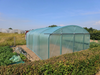 Filclair Elegant tunnelserre   4,20 x 3,00m   12,6m²