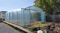 Filclair Elegant tunnelserre   4,20 x 7,50m   31,5m²