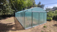 Filclair Elegant tunnelserre   4,20 x 10,50m   44,1m²