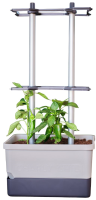Gusta Garden CHARLY CHILI   peperkweekpot met waterreservoir en klimsteun   lichtgrijs