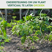 Famiflora tomatenspiralen verzinkt   1m70   Per 10 stuks