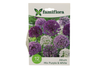 Famiflora Allium Mix Paars/Wit   Voorjaarsbloeiers   12 bloembollen