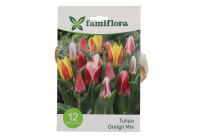 Famiflora Tulipa Greigii Mix   Voorjaarsbloeiers   12 bloembollen