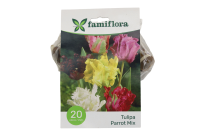 Famiflora Tulipe Parkiet Mix   Voorjaarsbloeiers   20 bloembollen